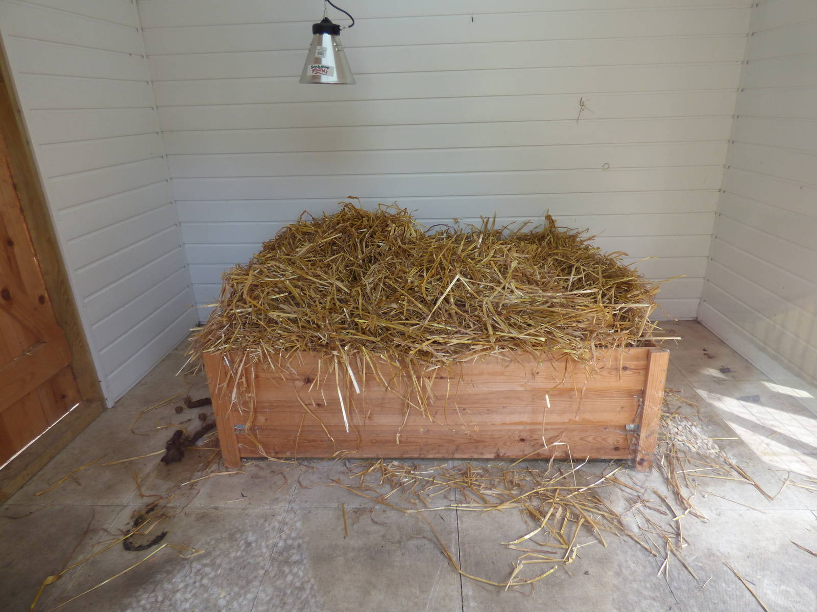 Indoor Caracal Enclosure