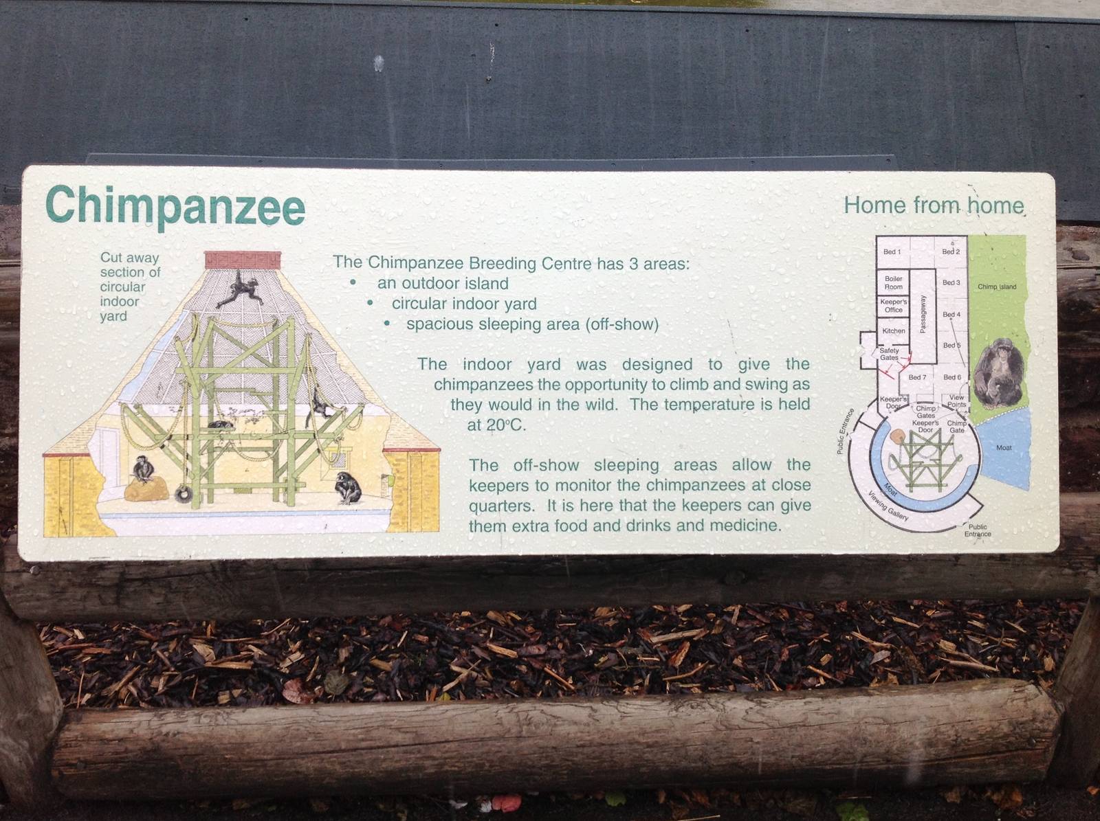 Indoor chimp enclosure