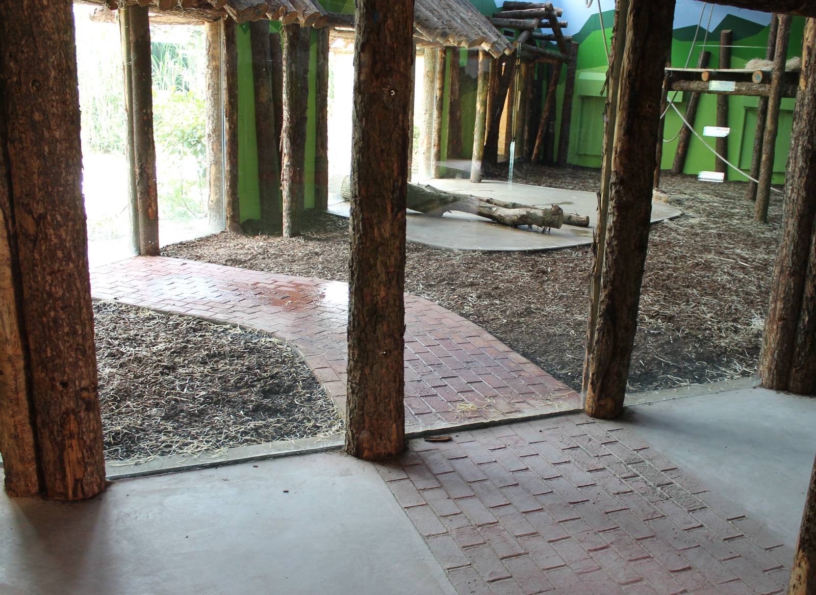 Indoor chimp enclosure