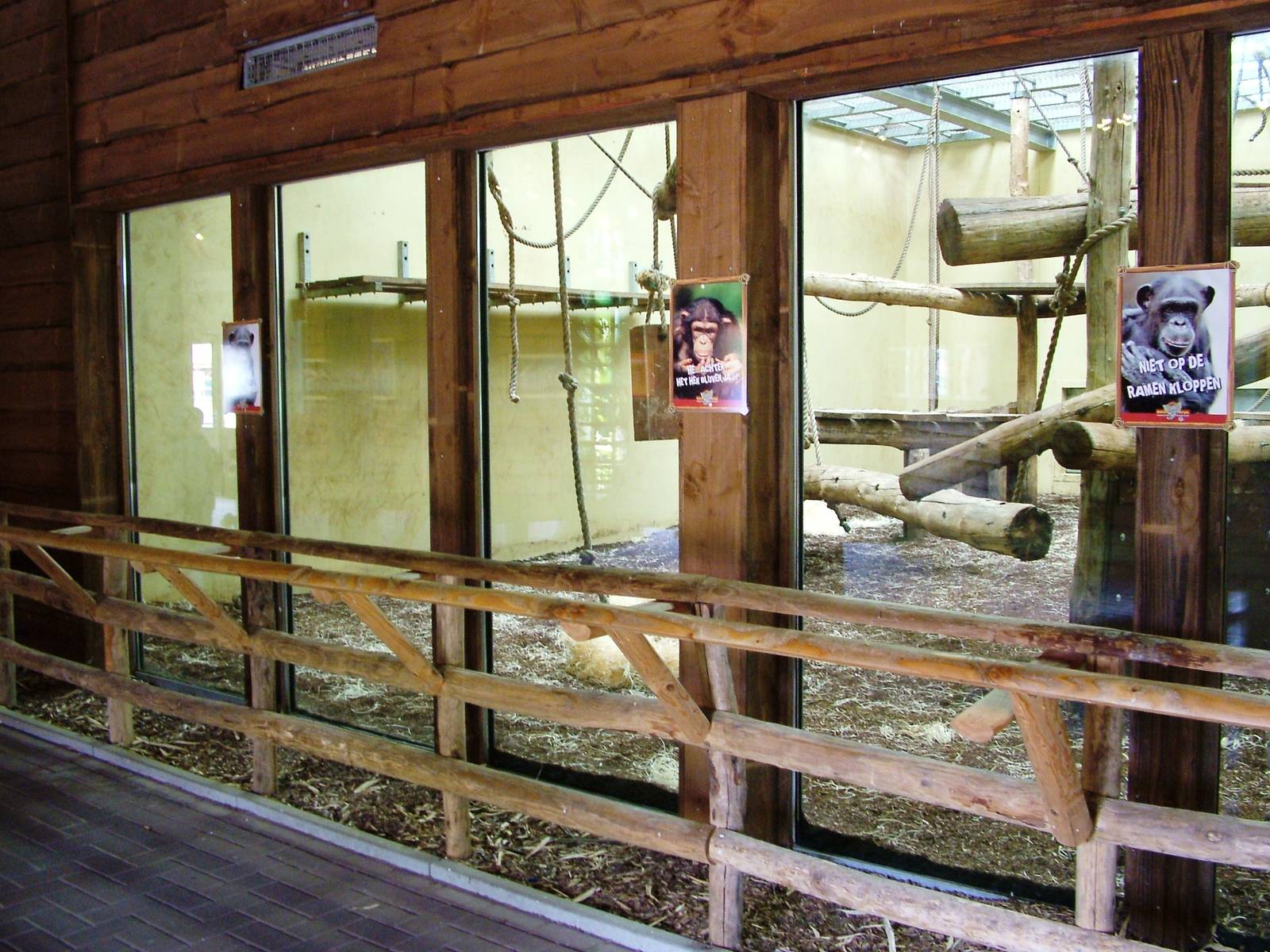 Indoor Chimp Exhibit at Beekse Bergen, 31/05/12