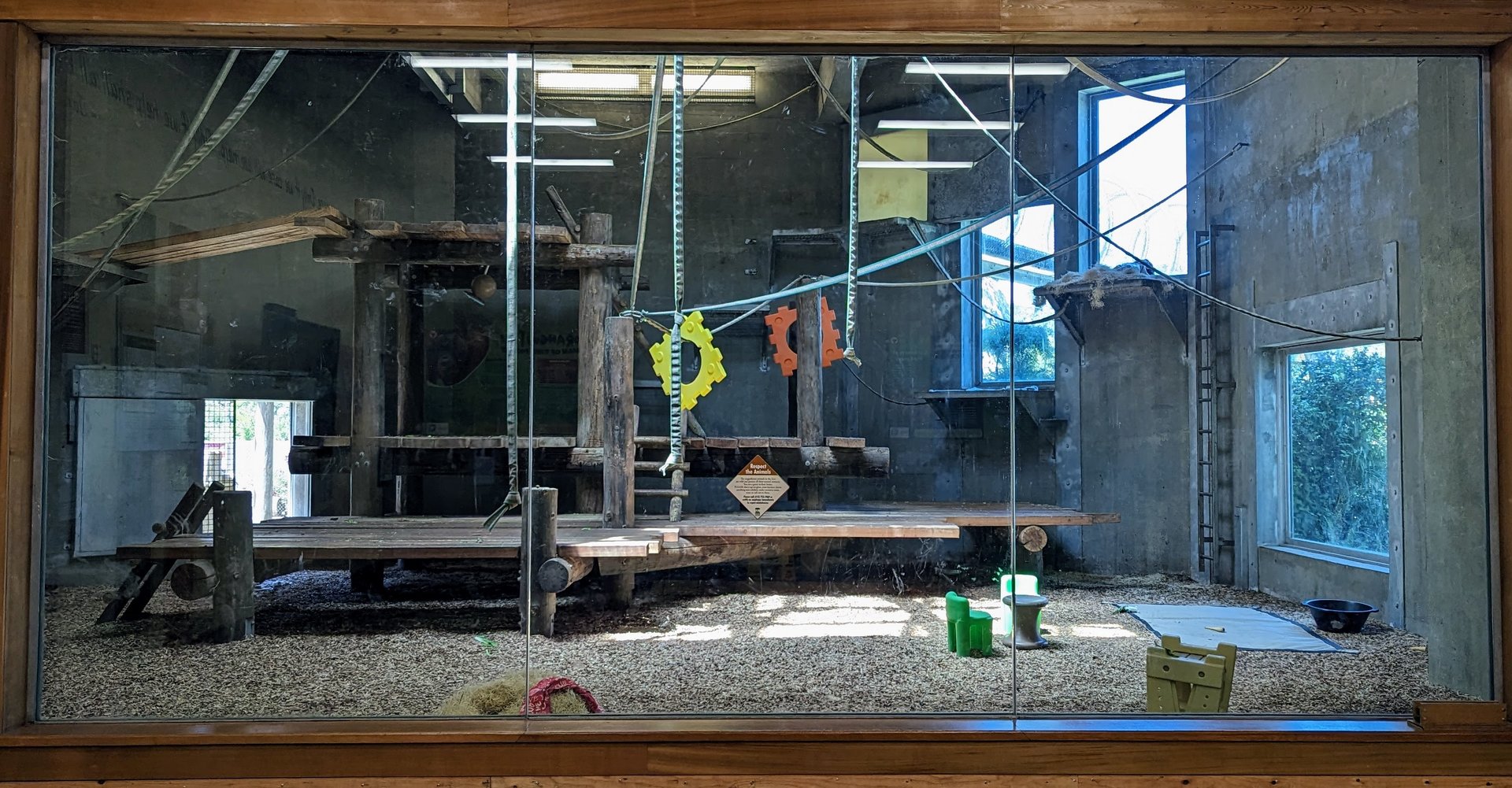 Indoor Chimp Exhibit - July 8th 2023