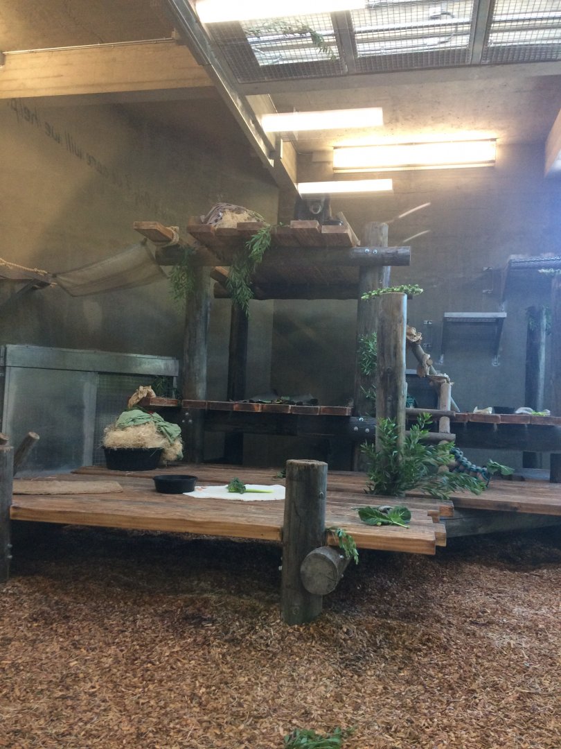 Indoor chimp room