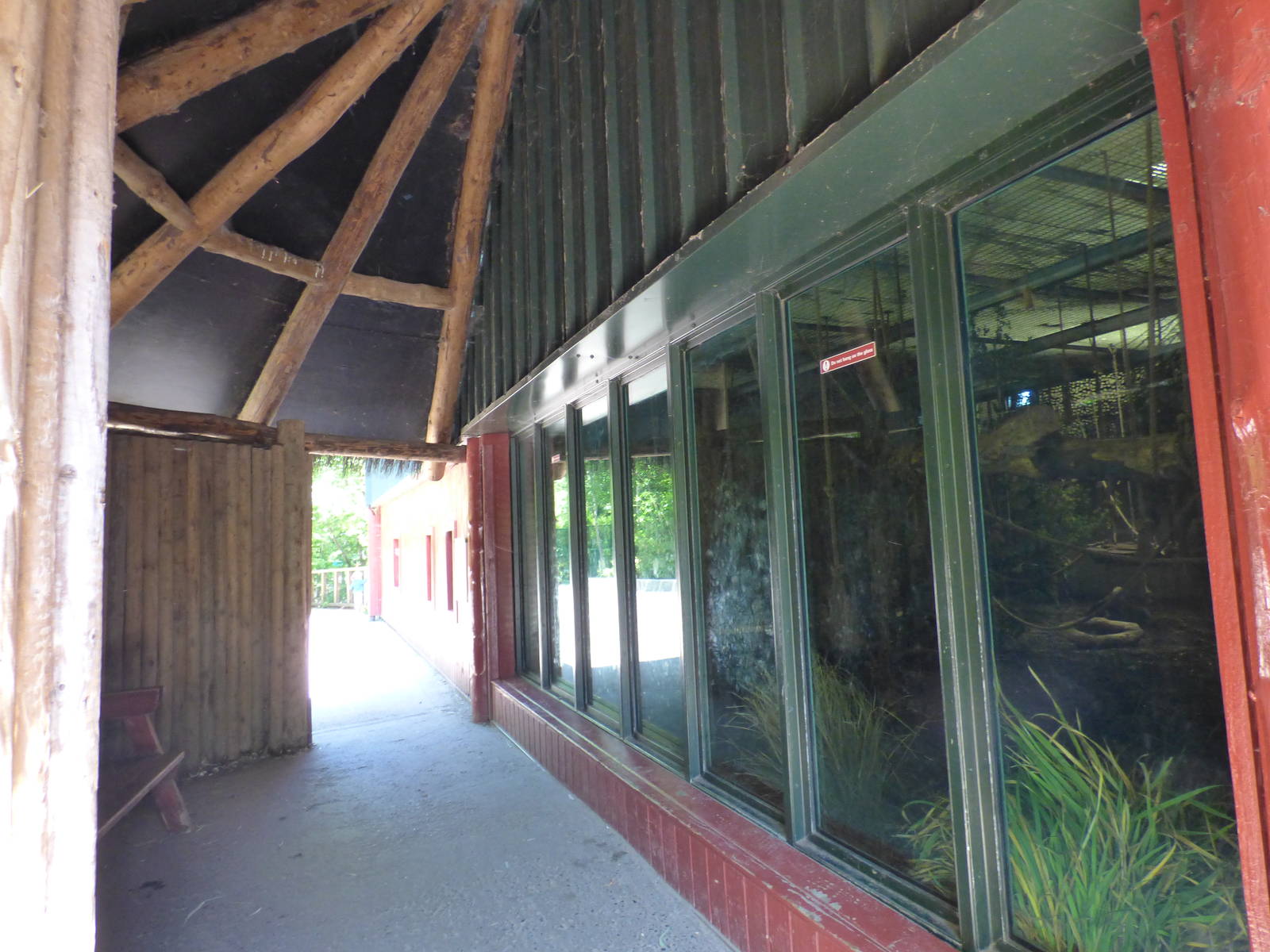 Indoor Chimp Viwing Area