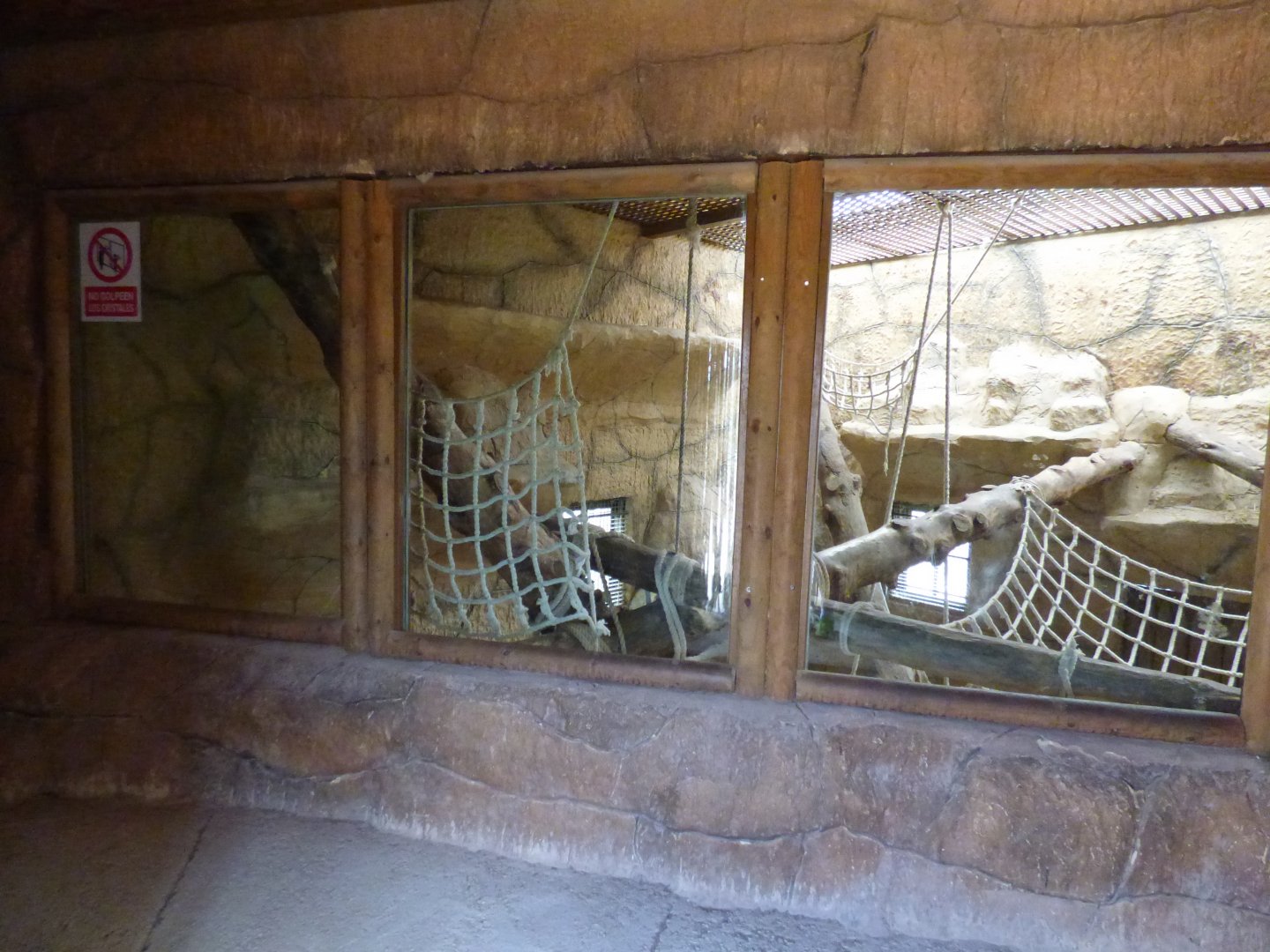 Indoor Chimpanzee Enclosure