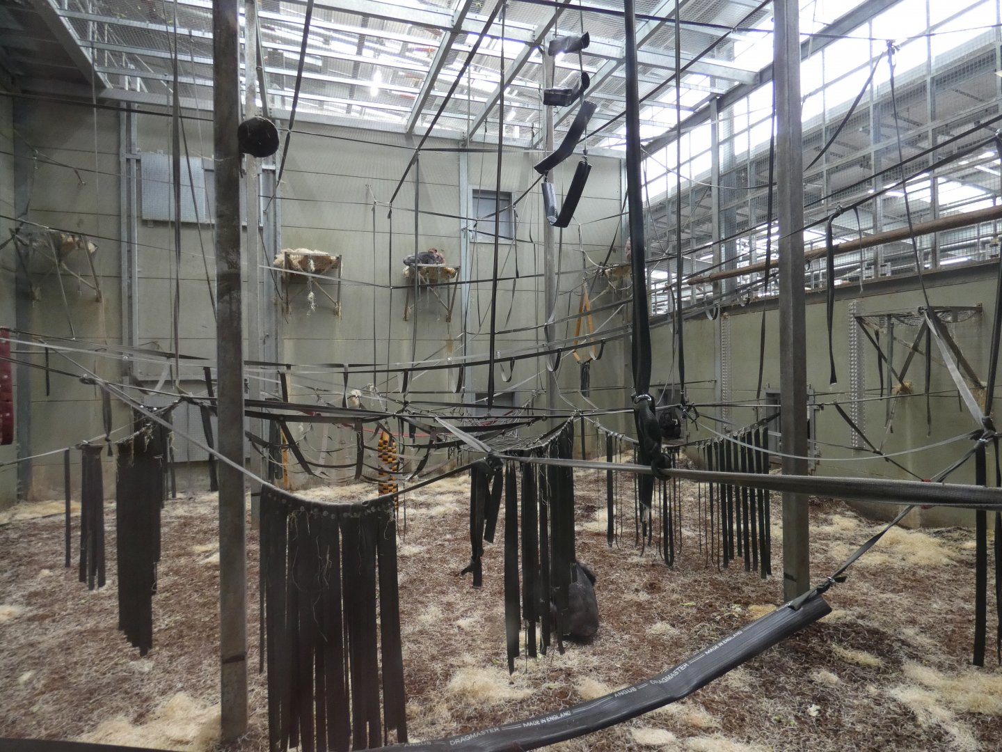 Indoor Chimpanzee enclosure