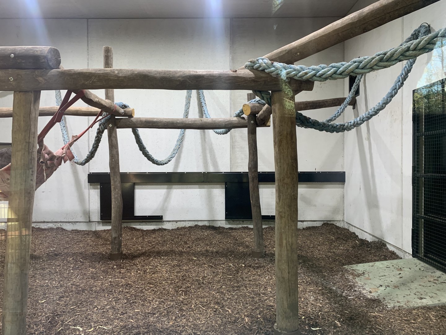 Indoor chimpanzee enclosure
