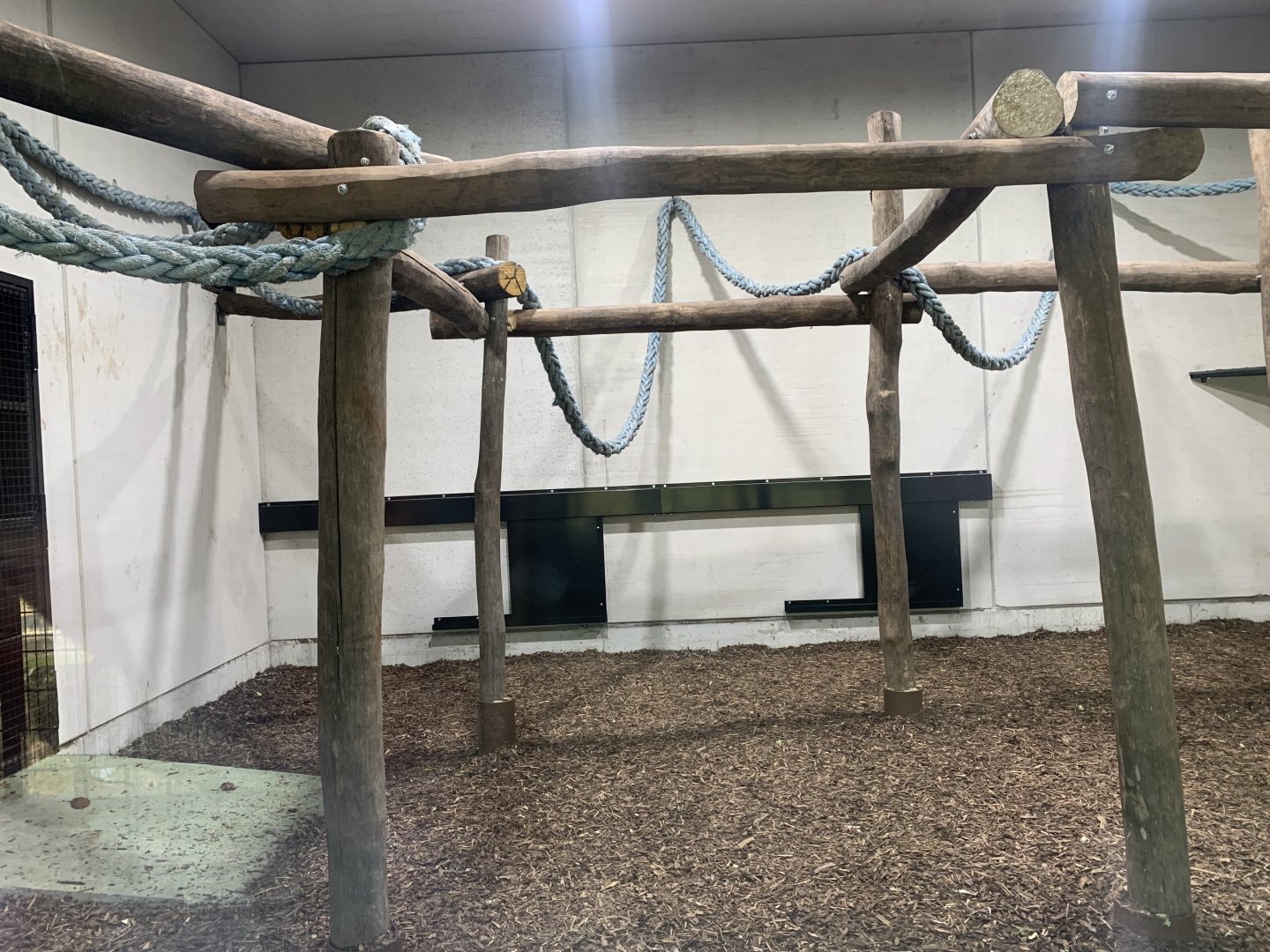 Indoor chimpanzee enclosure