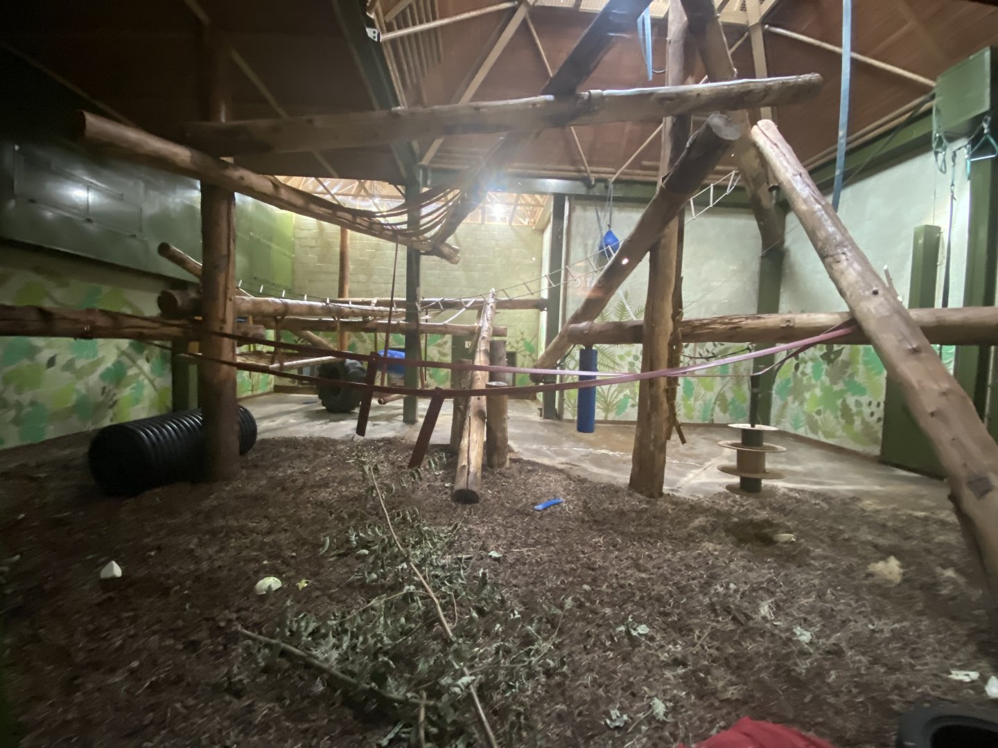 Indoor chimpanzee enclosure