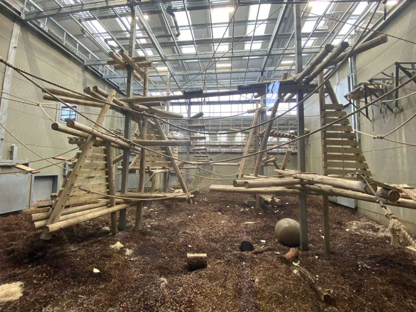 Indoor chimpanzee enclosure