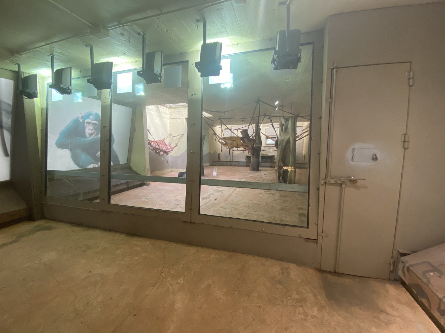 Indoor chimpanzee enclosure