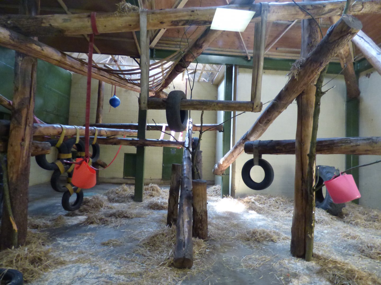 Indoor Chimpanzee Exhibit