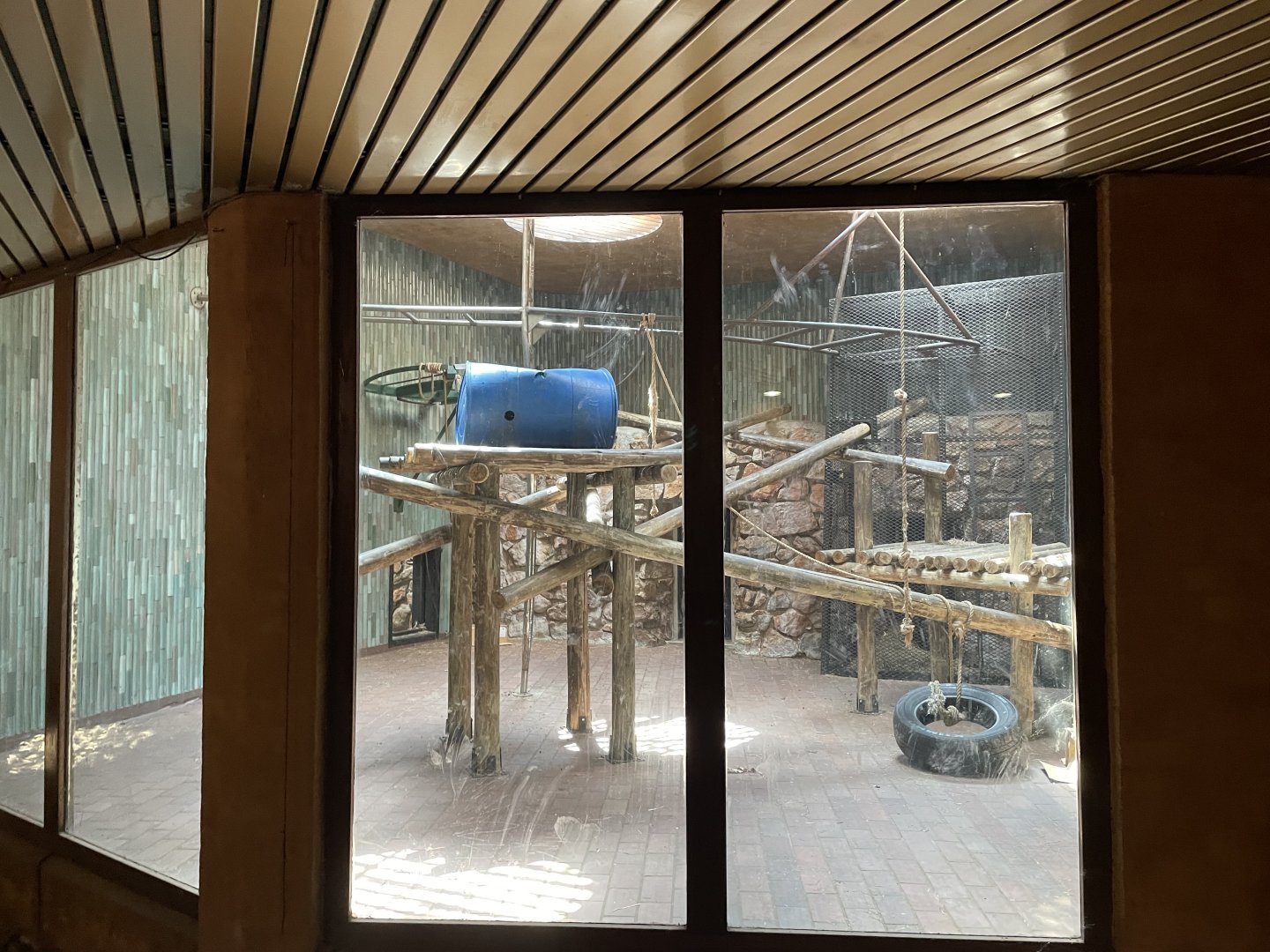 Indoor Chimpanzee  Exhibit