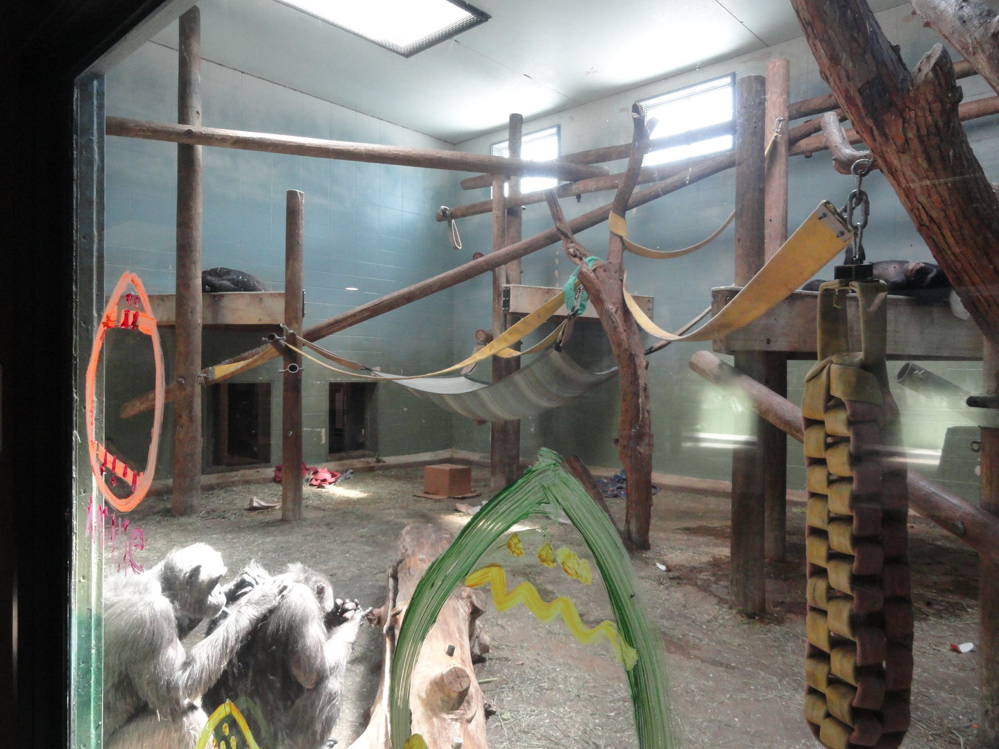 Indoor Chimpanzee Exhibit
