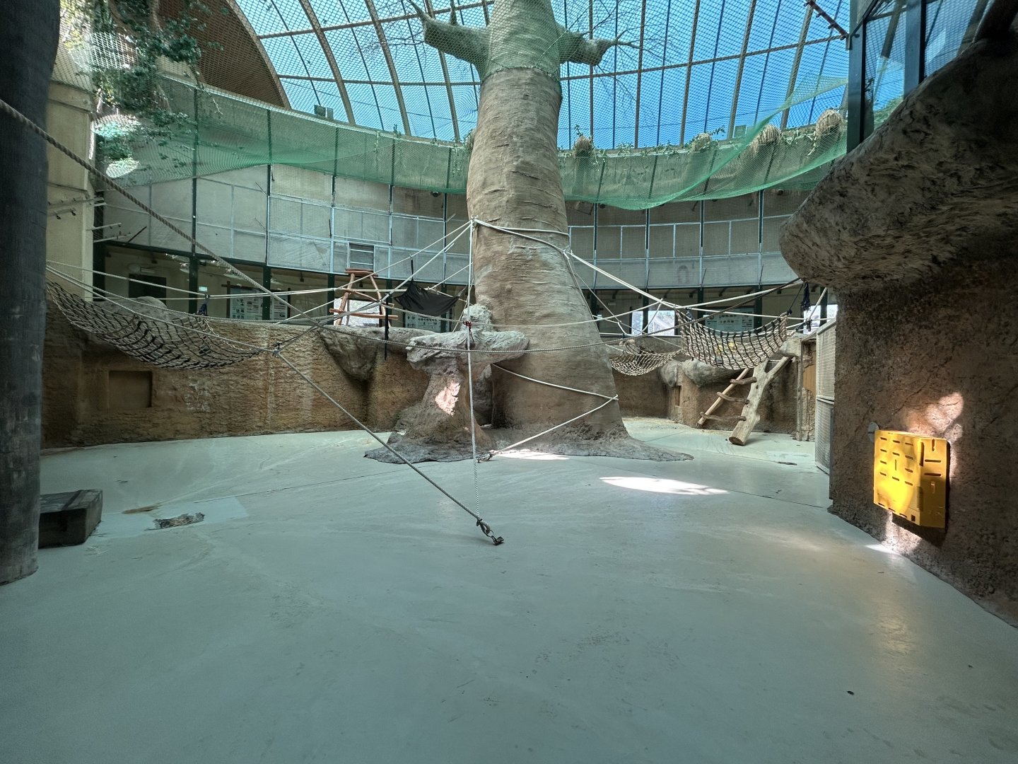 Indoor Chimpanzee Exhibit