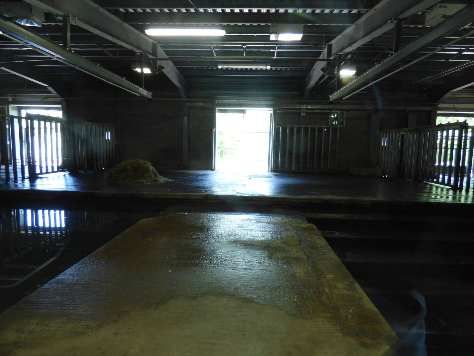 Indoor Common Hippo Enclosure