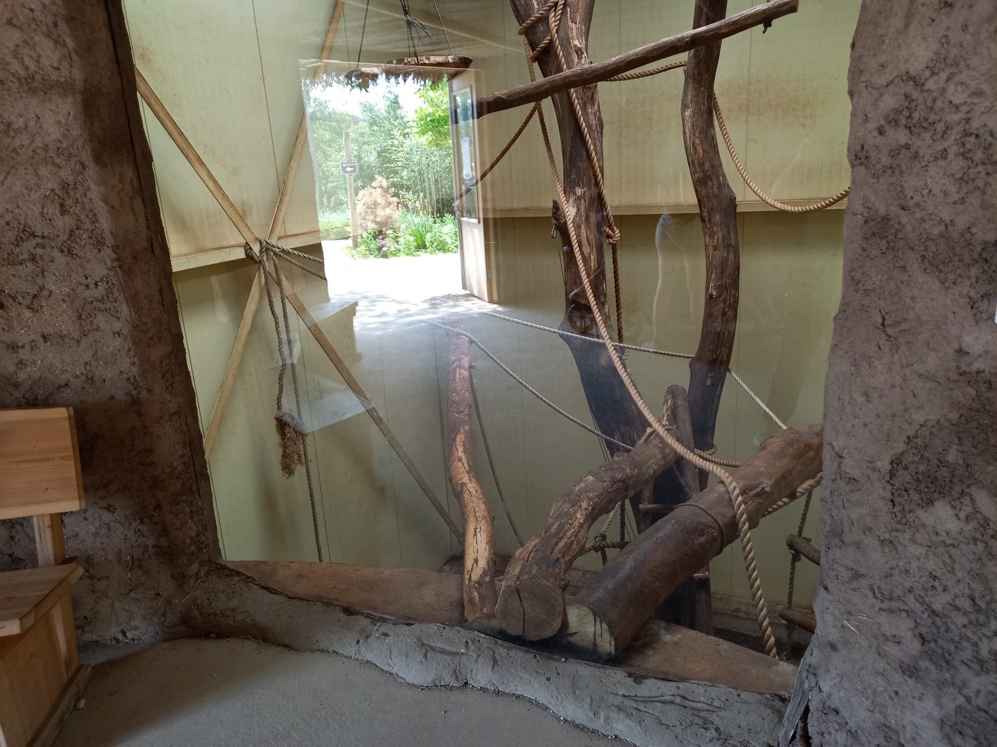 Indoor DeBrazza monkey enclosure