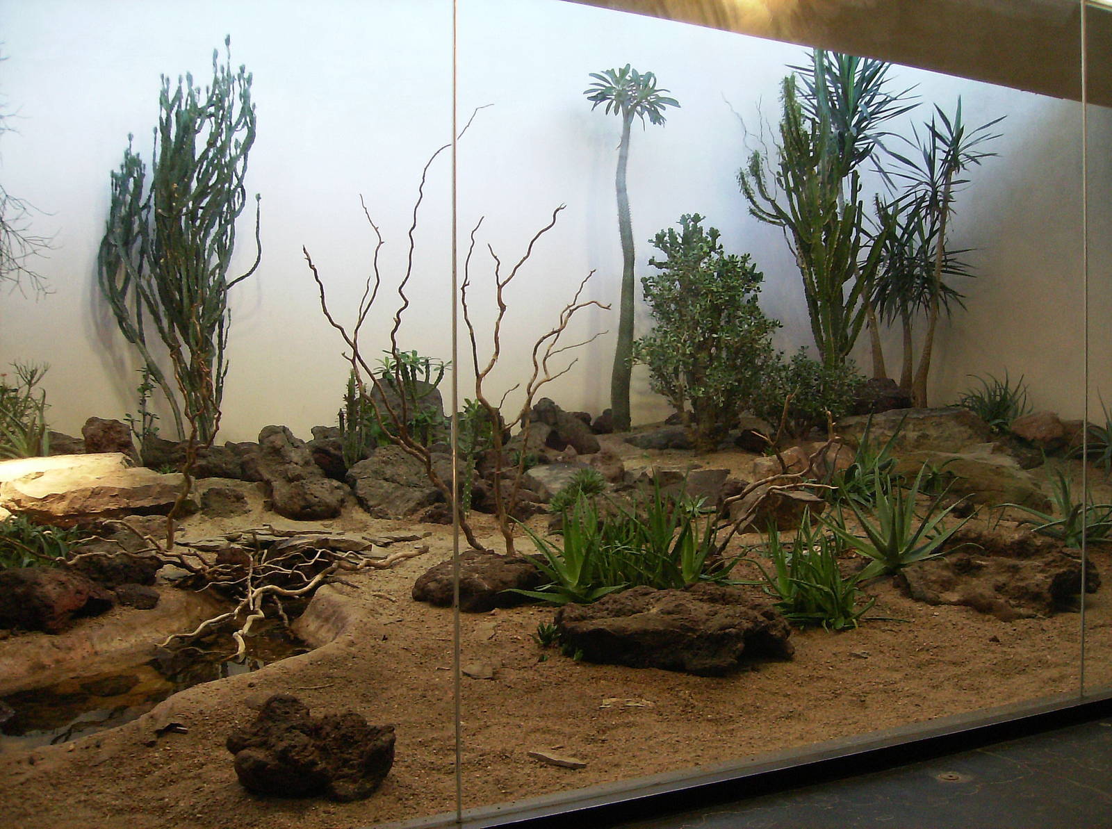 Indoor Desert exhibit