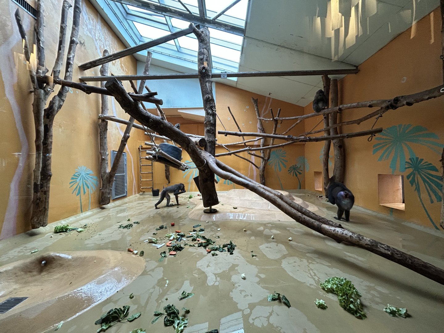 Indoor Drill Exhibit