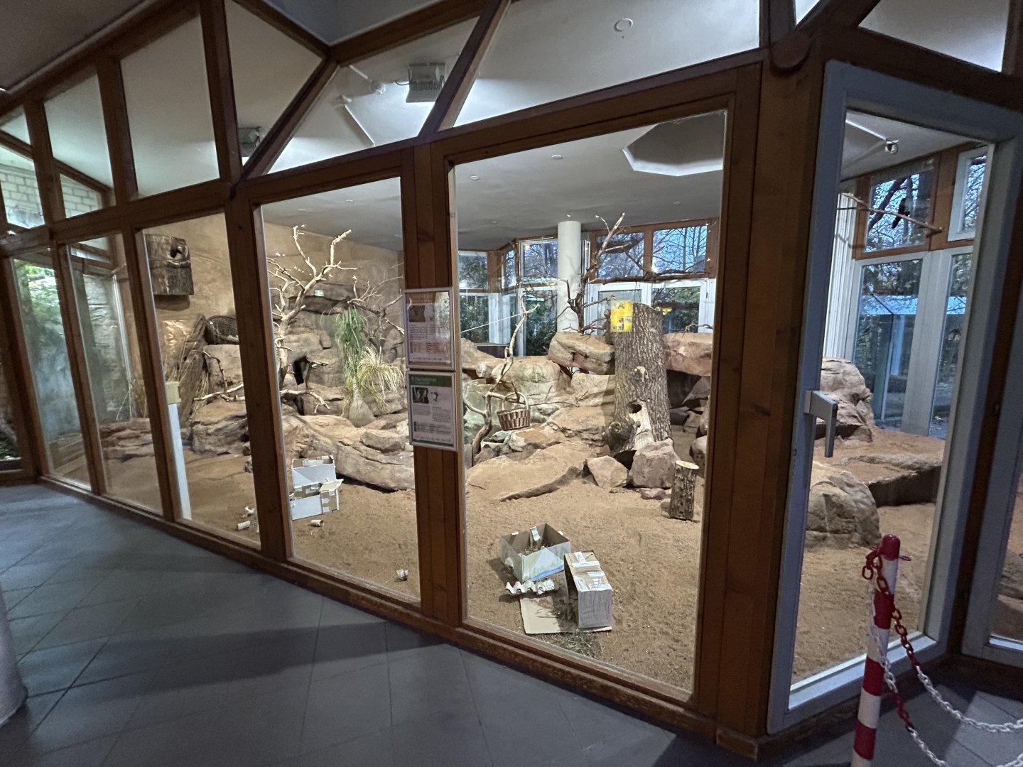 Indoor Dwarf Mongoose & Red-billed Hornbill Exhibit