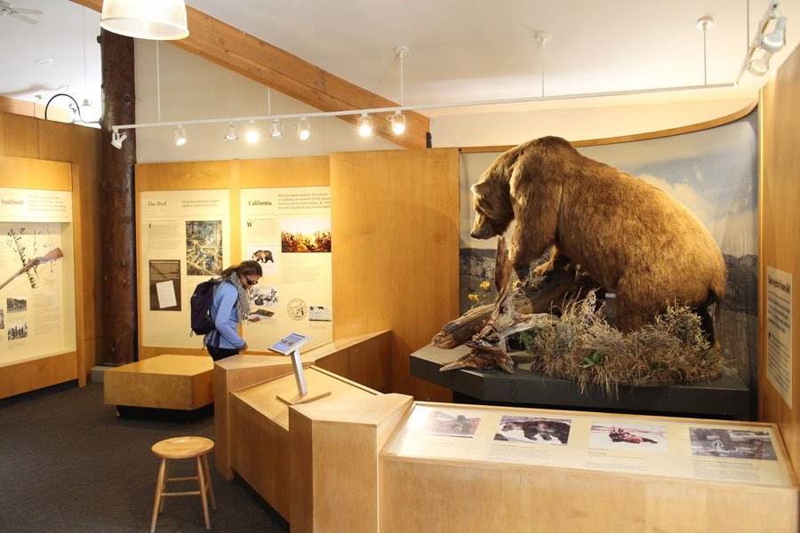 indoor education building