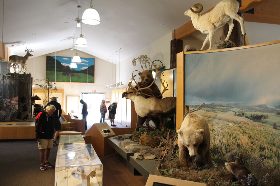 indoor education building