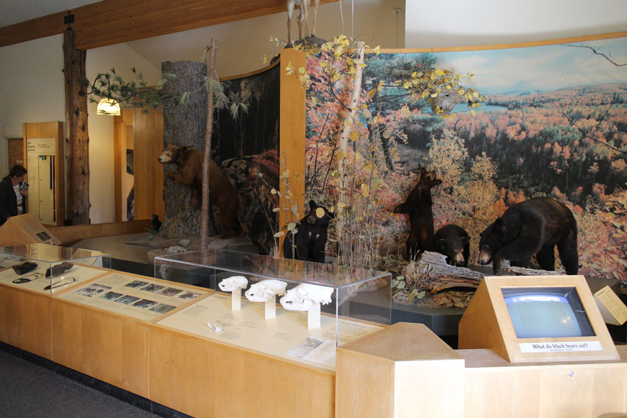 indoor education building