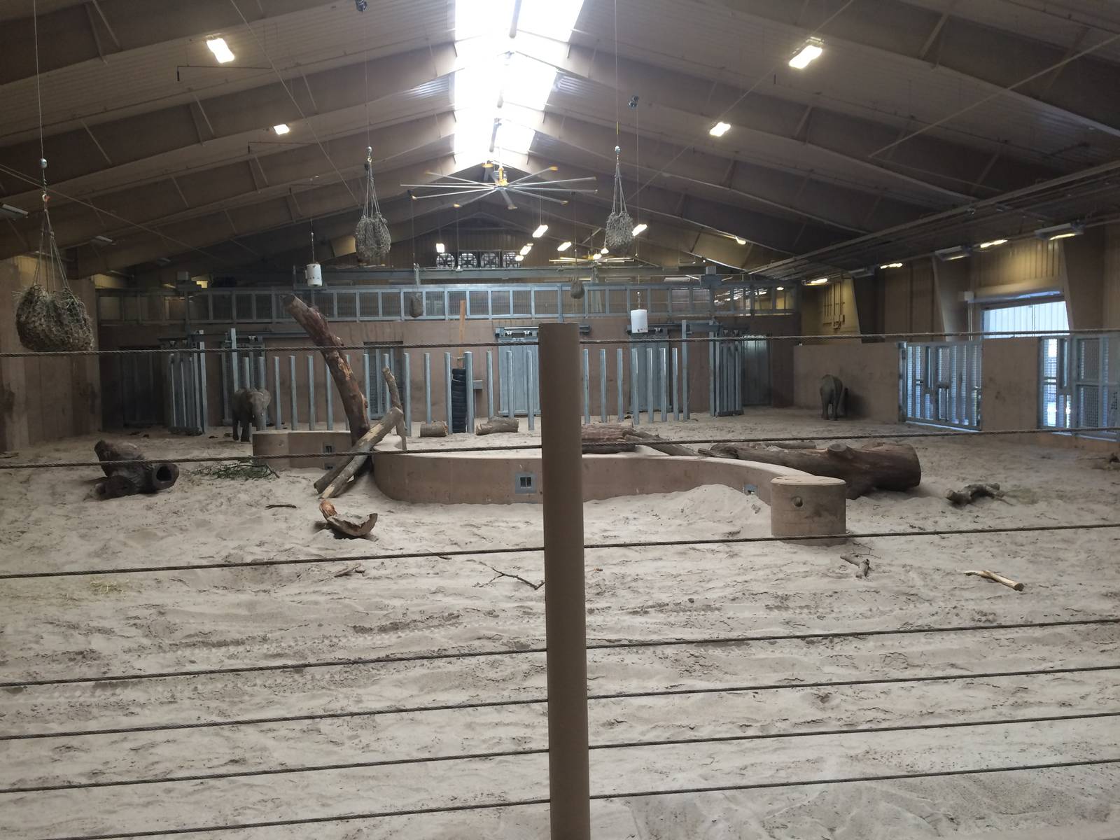 Indoor Elephant Area