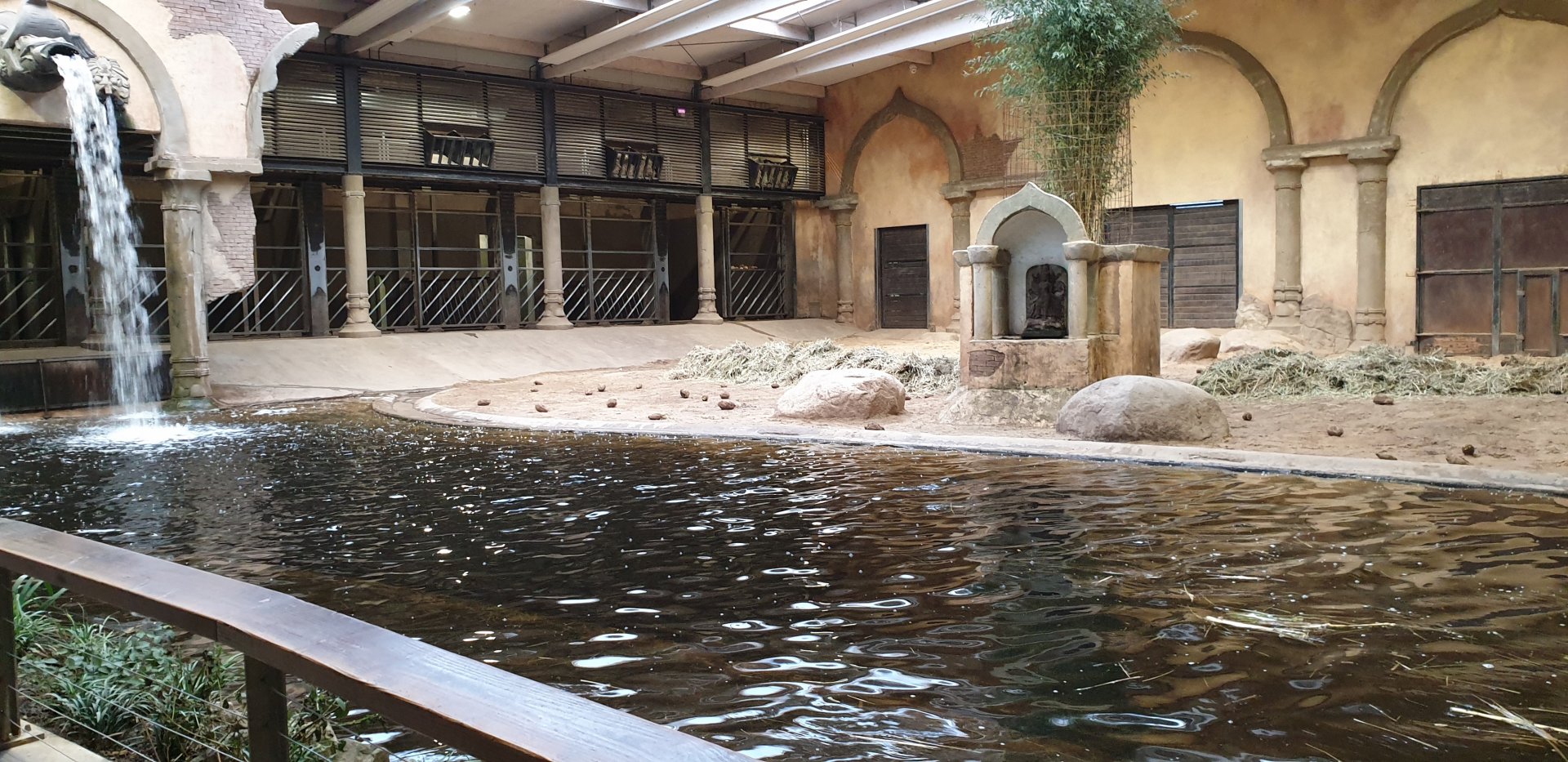 Indoor Elephant enclosure