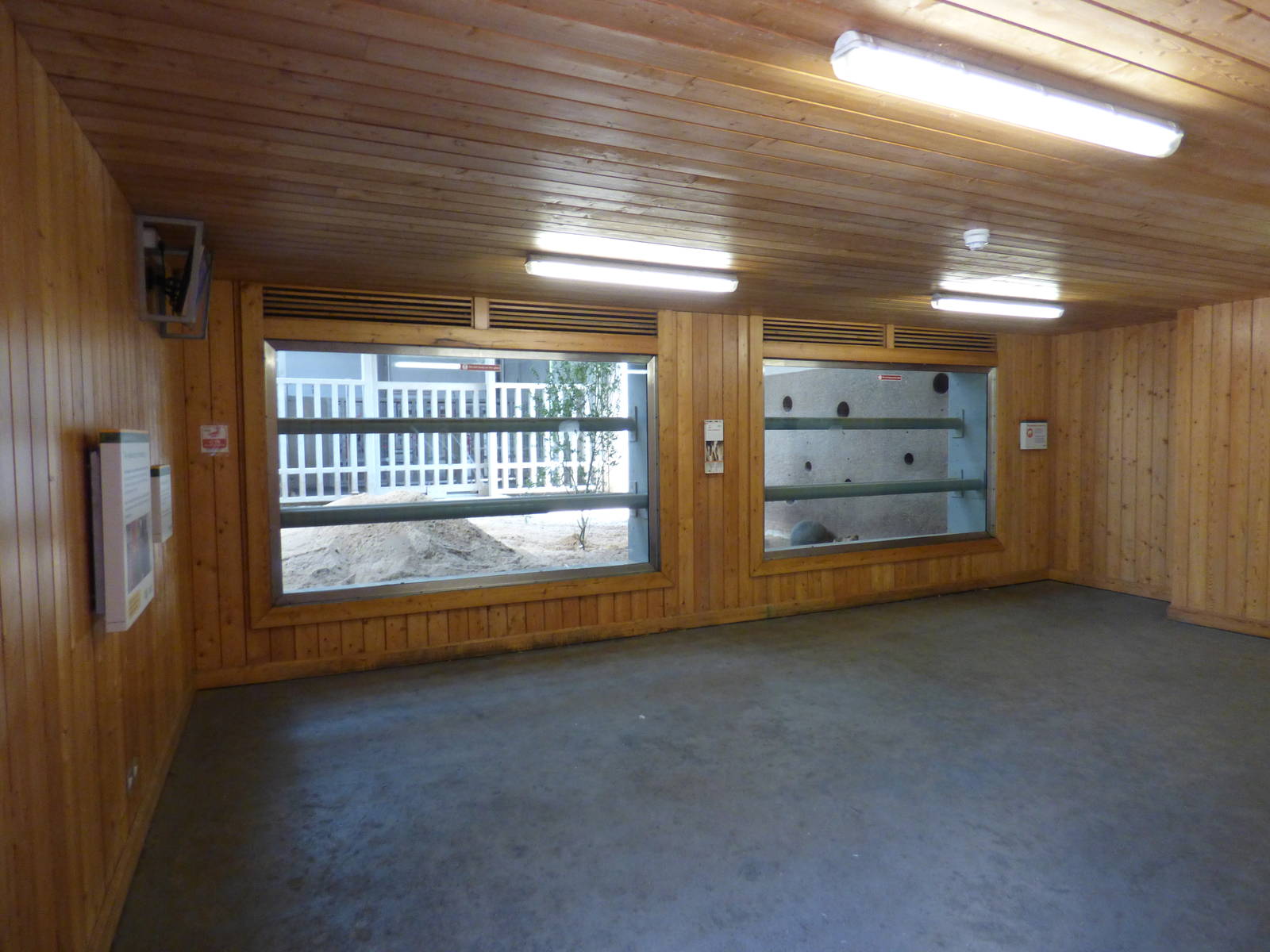 Indoor Elephant House Viewing Area