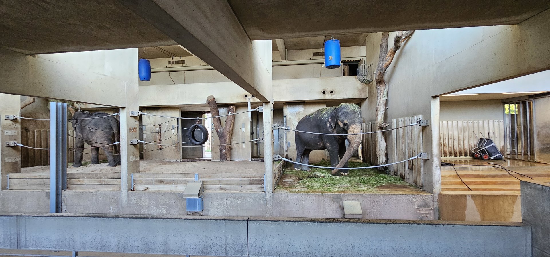 Indoor elephant quarters