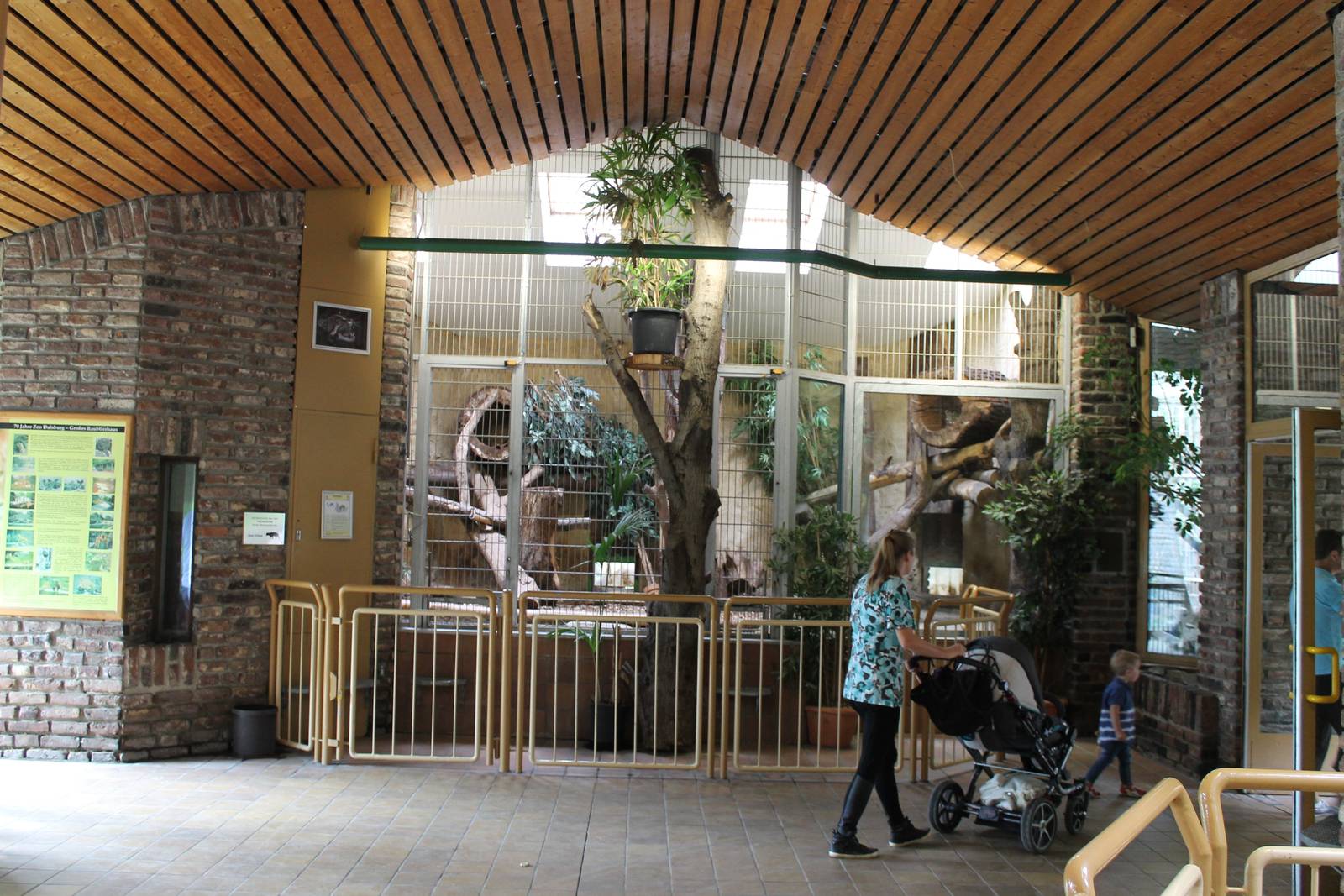 Indoor enclosure Binturong