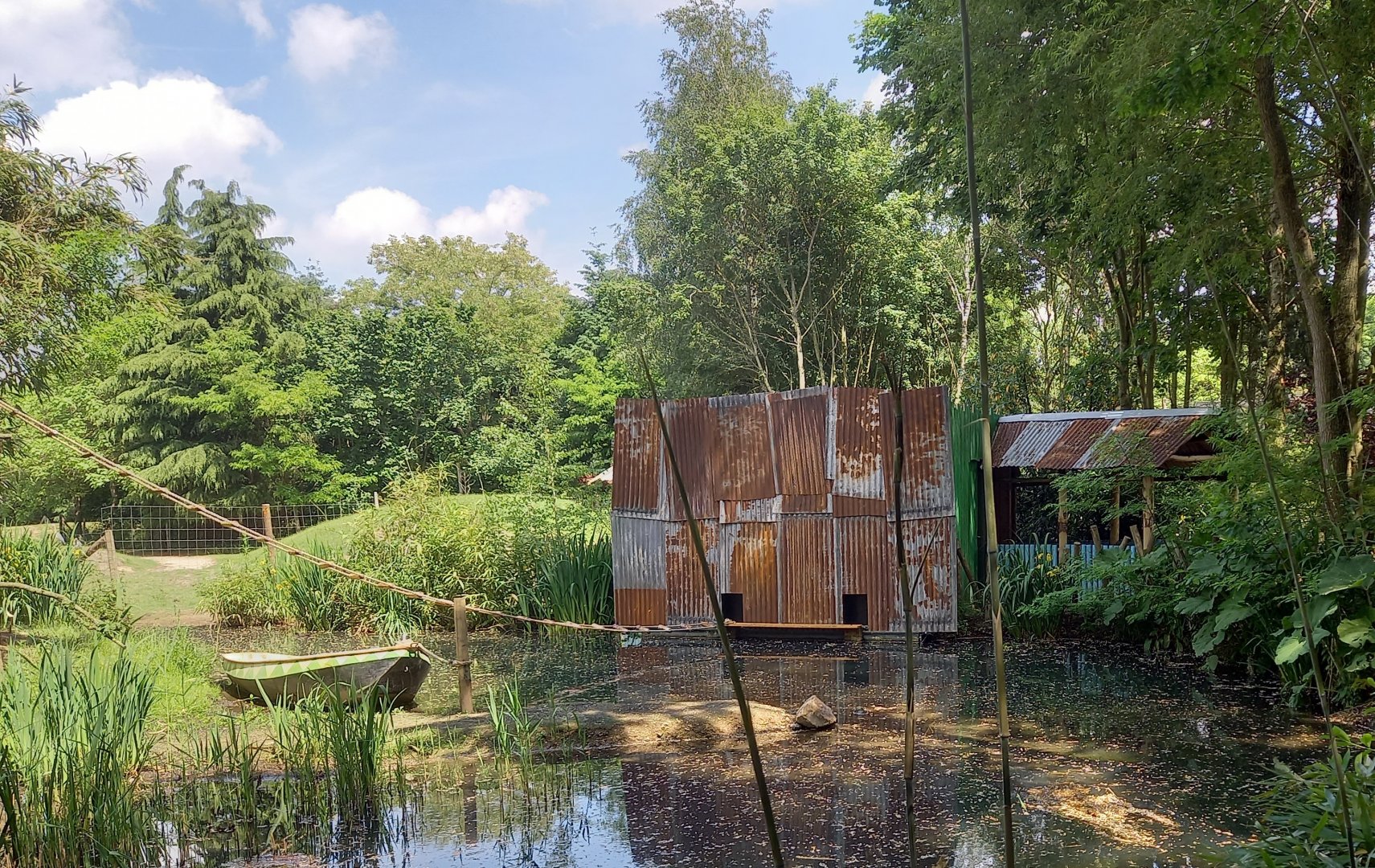 Indoor-enclosure Black howler monkey