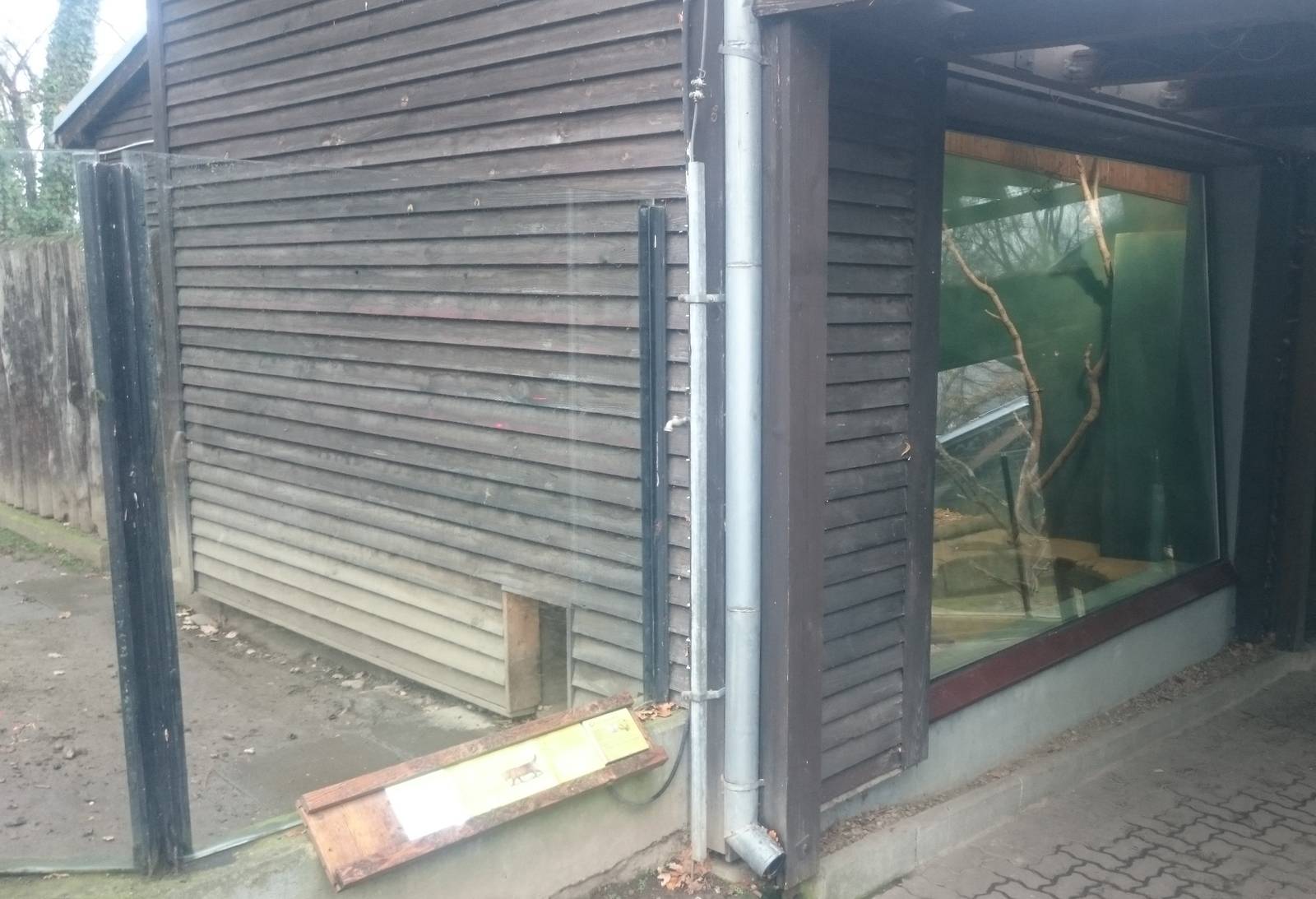 Indoor enclosure Bush dog