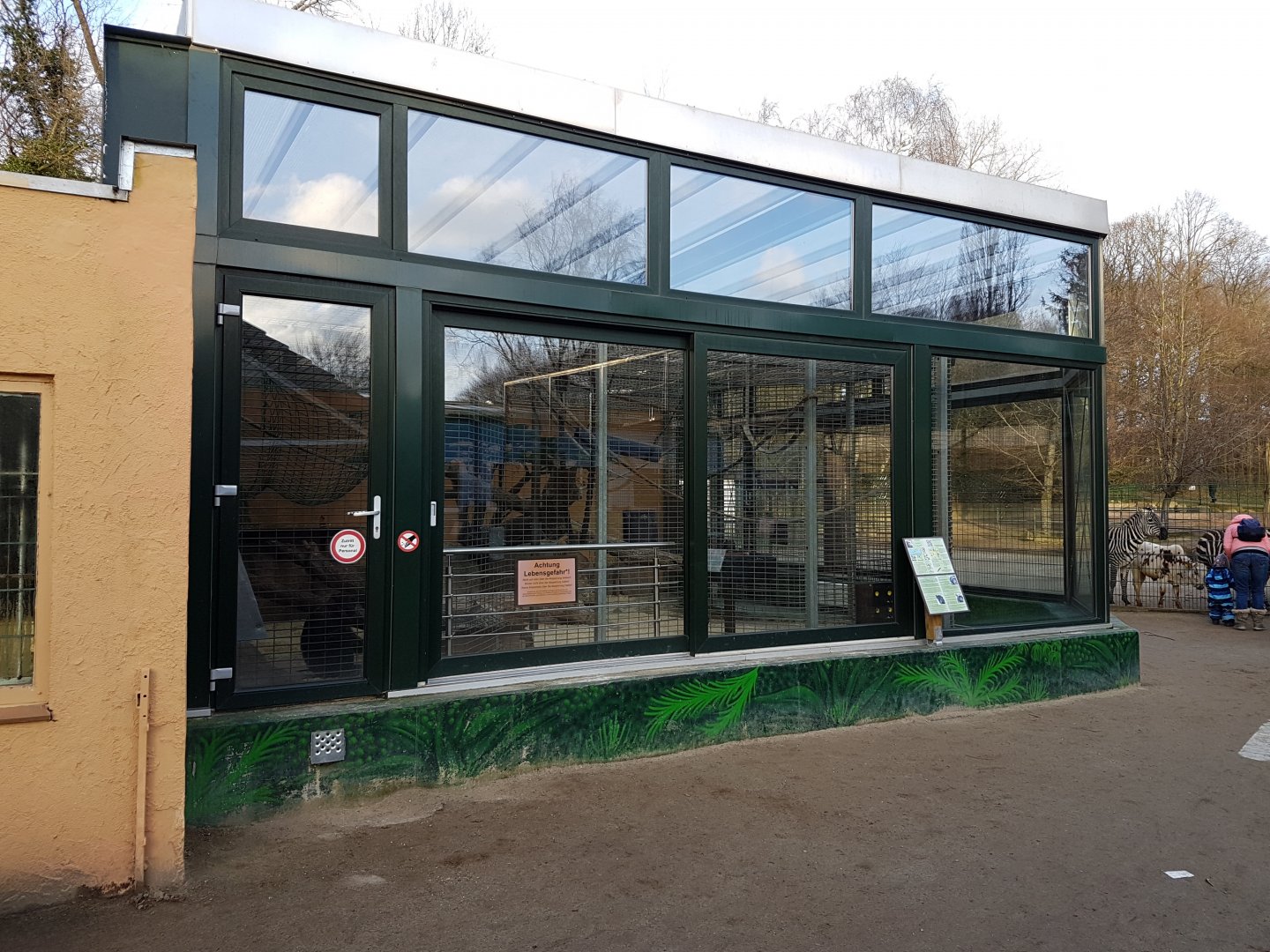 Indoor-enclosure Chimpanzee