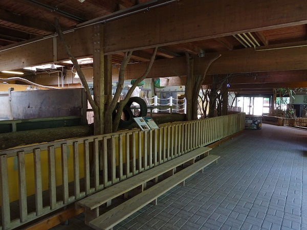 Indoor enclosure for black rhino (07/22)