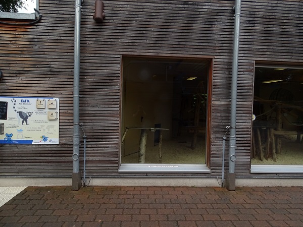 Indoor enclosure for ring-tailed lemurs (07/22)
