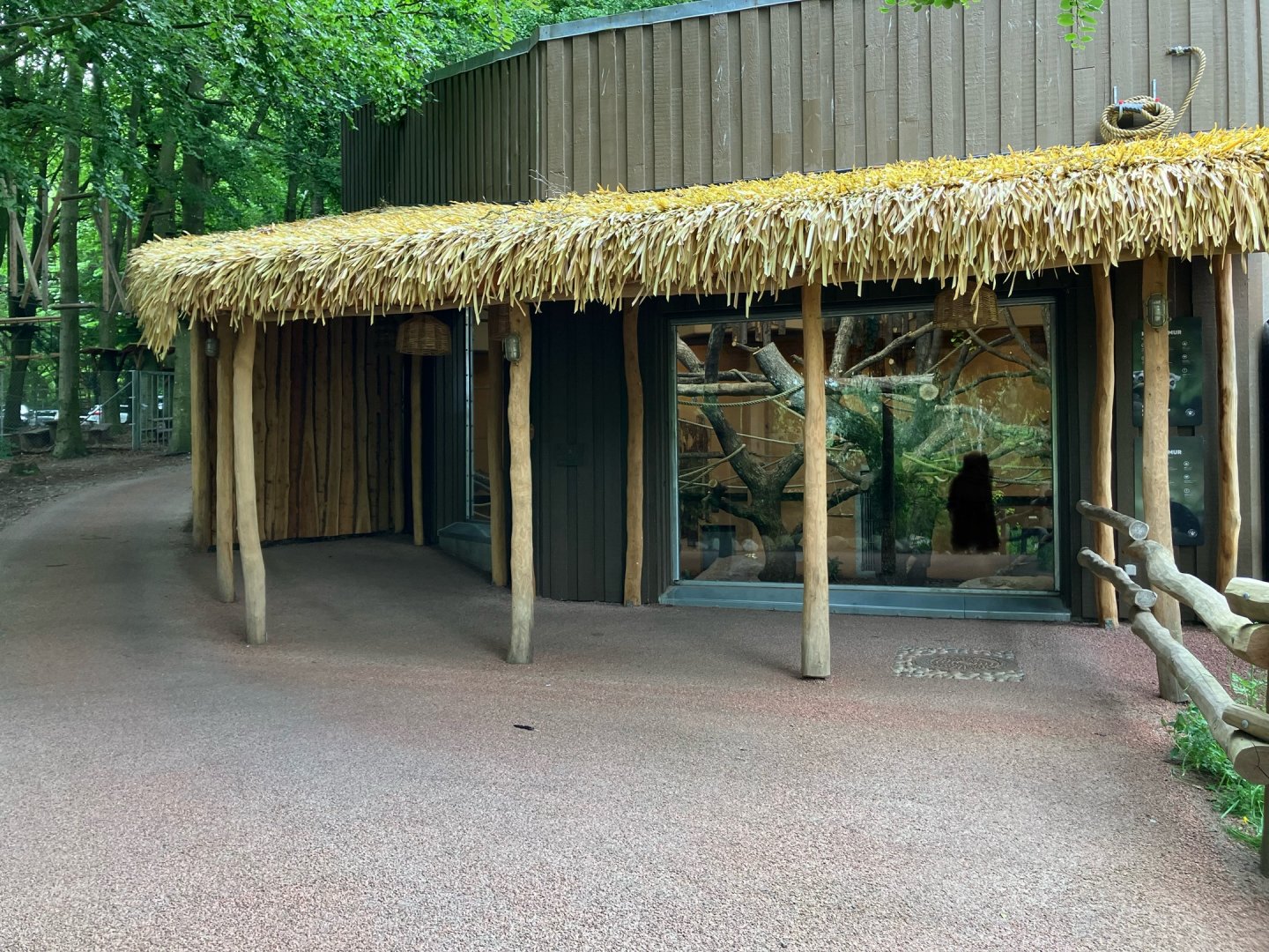 Indoor enclosure for ring-tailed lemurs and black lemurs 01/07/2024