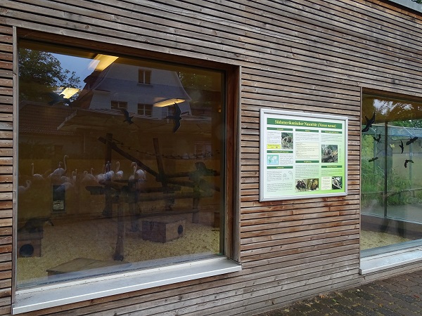 Indoor enclosure for South-American coatis (07/22)