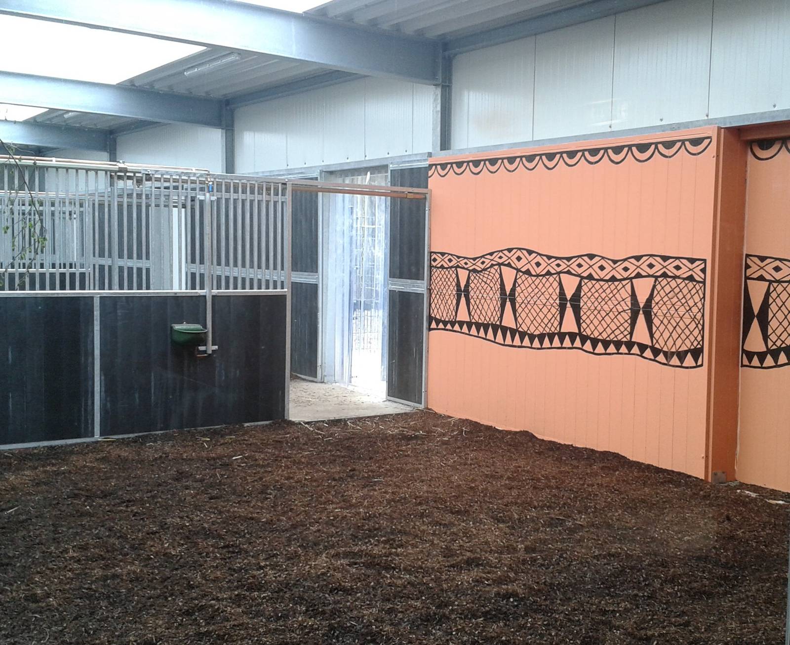 indoor enclosure for the okapis