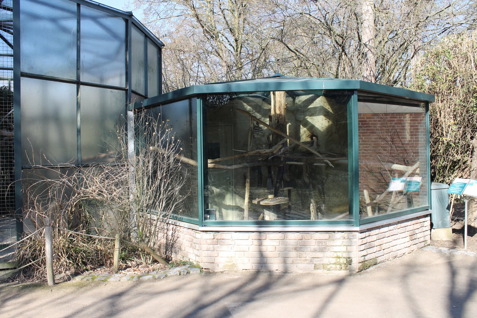 Indoor-enclosure Hyacinthine macaw