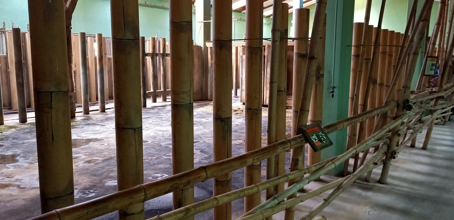 Indoor-enclosure Indian one-horned rhino