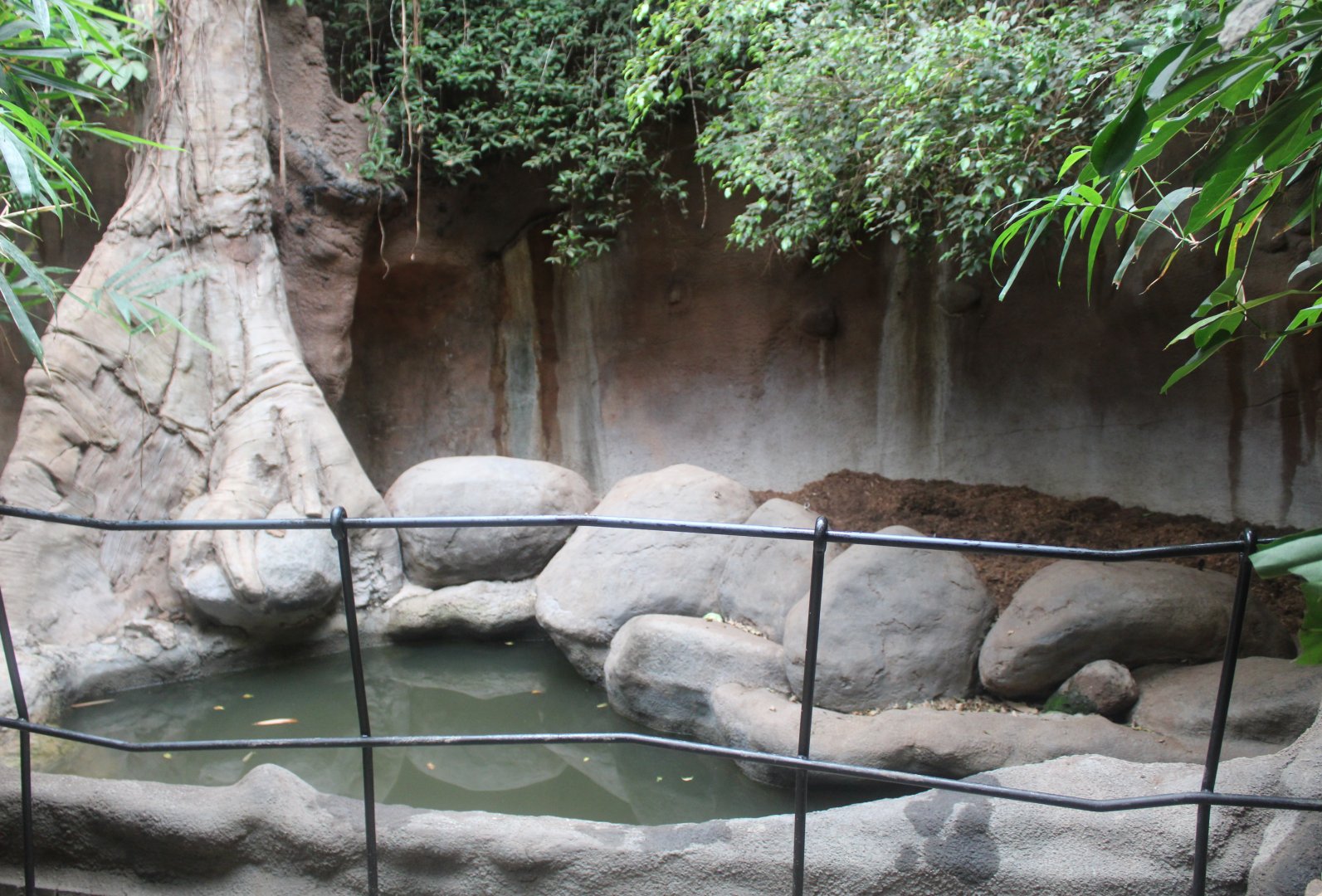 Indoor enclosure Indian one-horned rhinoceros