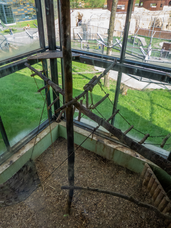 indoor enclosure mantled guereza