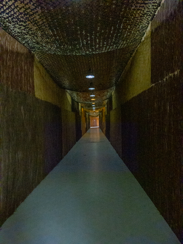 indoor enclosure of big cats