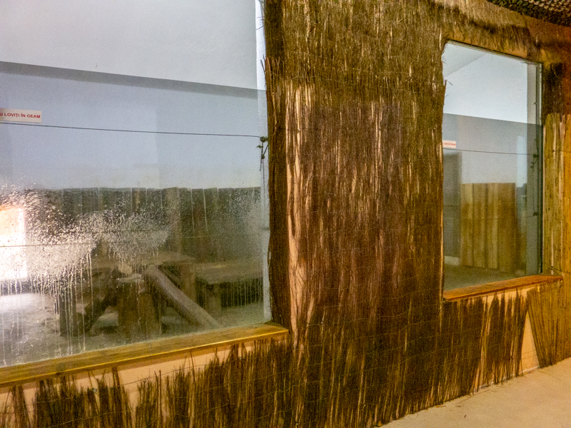 indoor enclosure of big cats