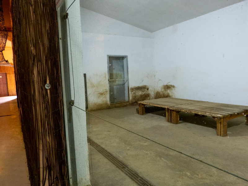 indoor enclosure of big cats