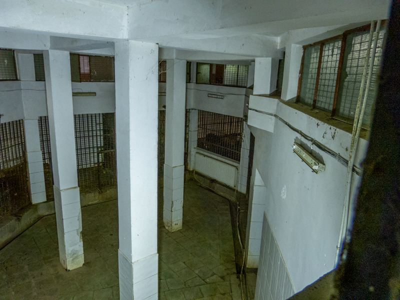 indoor enclosure of big cats