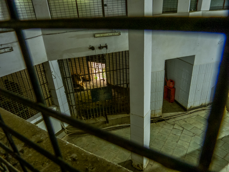 indoor enclosure of big cats