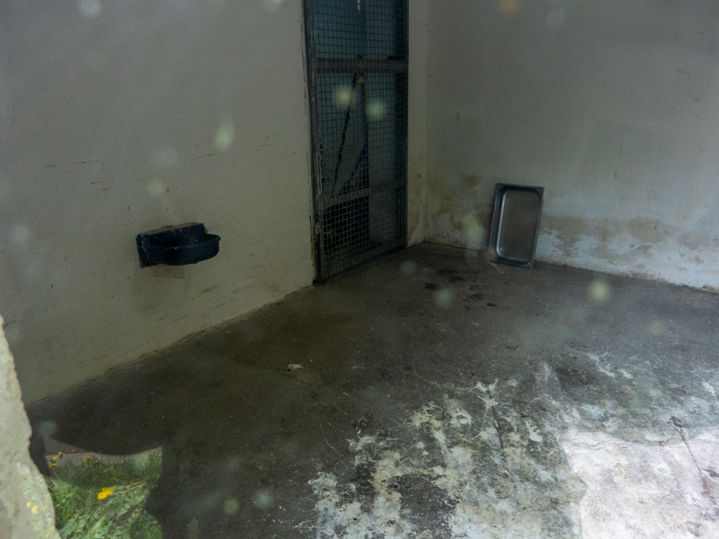 indoor enclosure of birds (resp. lynx)