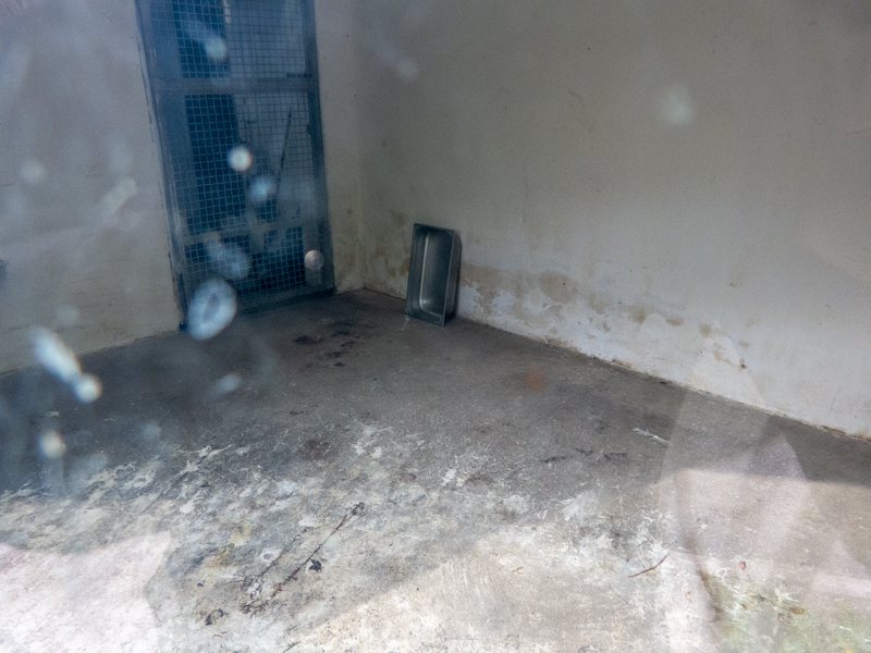 indoor enclosure of birds (resp. lynx)